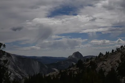 DSC_4415 (Large).JPG